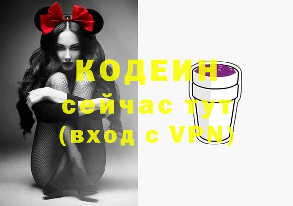 гашик Богданович