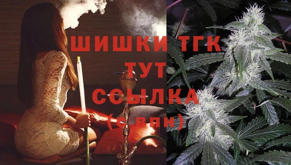 гашик Богданович