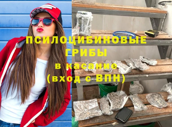 стафф Богородицк