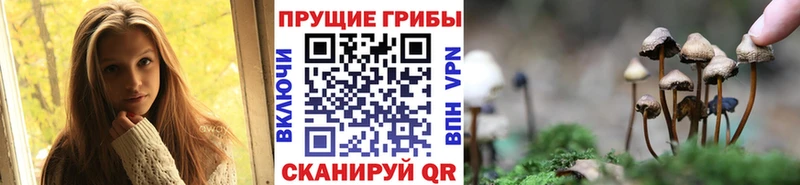 Псилоцибиновые грибы прущие грибы  Муравленко 